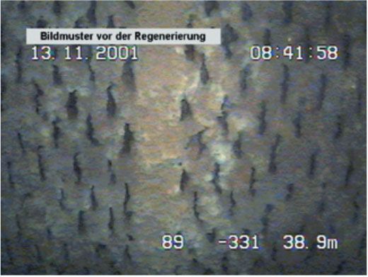 Brunnen vor der Regenerierung