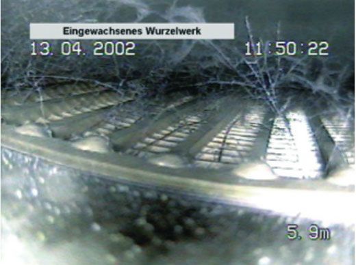 eingewachsenes Wurzelwerk im Brunnen
